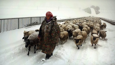 hiver.jpg