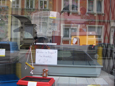 hof_hase.jpg