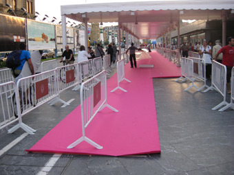 080917_pink.jpg